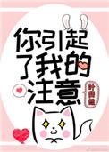 你引起了我的注意安浔