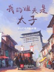 我的姐夫是太子是什么