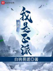 我真的是正派呀 百度百科