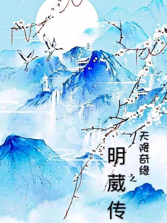 天降奇缘国语版