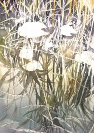 北风吹的有哪些?