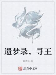 云端遗梦录下一句