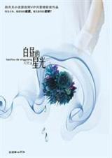 白昼的星光全文免费阅读书包网