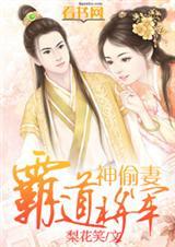 霸道将军俏佳人