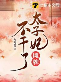 太子妃只想摆地摊全文免费
