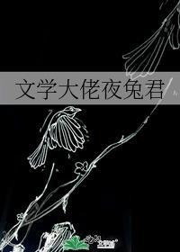 文学大佬的情书