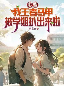 王者荣耀里的马甲是什么意思