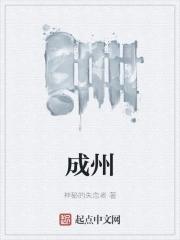 成州46度酒价格表