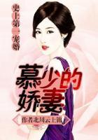 史上第一宠婚慕少的娇妻听