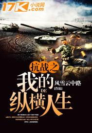 抗战之我的纵横人生无弹窗全文免费读