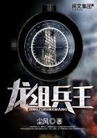 龙组兵王徐城林初雪笔趣阁