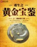 重生黄金宝鉴txt