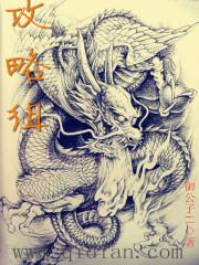 金铃子攻略组