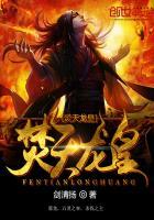 焚天龙皇等级分布