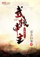 武极帝主 万古白金