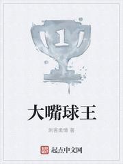 大嘴球王 笔趣阁