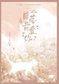 日落前爱你所爱的人间王菲