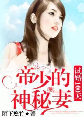 试婚100天：帝少的神秘妻