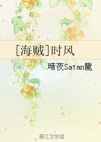 (海贼王同人)时风