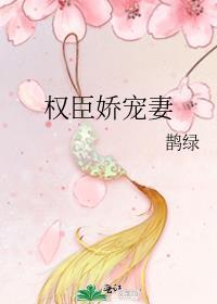 权臣娇宠妻