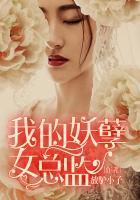 我的妖孽女总监