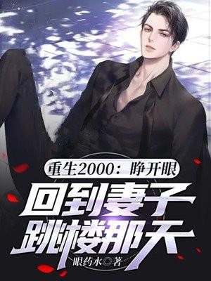 重生2000:睁开眼,回到妻子跳楼那天