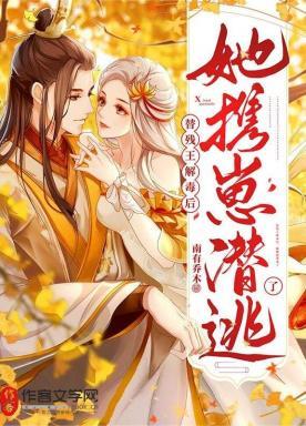 替残王解毒后,她携崽潜逃了